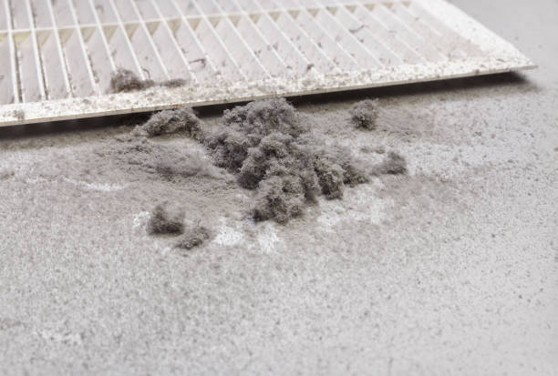 Best Air Duct Cleaning Cost  in Newport, TN