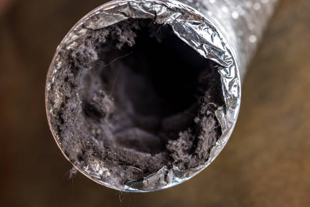  Newport, TN Airduct Cleaning Pros