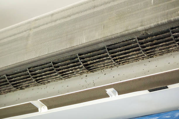 Best HVAC System Cleaning  in Newport, TN