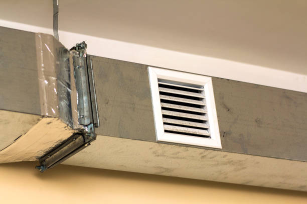 Best Local Air Duct Cleaning Services  in Newport, TN